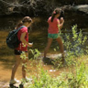 Meet your Posher, Sadie